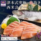 津本式 究極の血抜き 西米良サーモン1尾