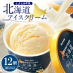 ふるさと納税 豊富町 とよとみ牛乳 北海道アイスクリーム バニラ 110ml×12個