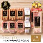 ふるさと納税 南さつま市 【マイスター山野井】ハム・ソーセージ 5種 詰合せ 計10P  ギフト 贈答 冷蔵