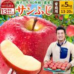 ふるさと納税 弘前市 りんご サンふじ【家庭用】約5kg 津軽農園|24_tgn-010501