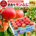ふるさと納税 弘前市 りんご【訳あり】サンふじ 約5kg(16〜23玉程度)|24_snk-070501