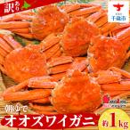 ふるさと納税 千歳市 北海道産【 朝ゆで 】訳ありオオズワイガニ 1.0kg詰 道産品 ズワイガニ ずわい蟹 不揃い