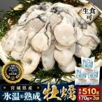 ふるさと納税 石巻市 宮城県産 かき 氷温熟成 牡蠣 生食用(冷凍)170g×3袋 510g まるたか水産 石巻応援