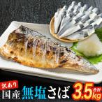 ショッピングふるさと納税 訳あり 不揃い ふるさと納税 石巻市 訳あり 無塩サバフィレ 3.5kg (30枚前後) 冷凍 さば 鯖 不揃い 魚 お魚 焼き魚