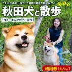 秋田犬と散歩利用券 05_hkd-040101