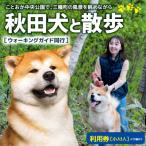 秋田犬と散歩利用券 05_hkd-050101