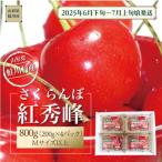 ふるさと納税 鮭川村 【令和7年産 早期受付】 鮭川村産さくらんぼ <紅秀峰> フードパック800g(200g×4P)