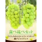 ショッピングふるさと納税 シャインマスカット ふるさと納税 笠岡市 たたらみねらるシャインマスカット+瀬戸ジャイアンツ1.3kg以上各1房(2026年産先行受付)