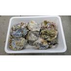 fu.... налог восток Hiroshima город [ предшествующий прием товар ]... имеется 15~20 шт [ рассылка время :1 месяц сверху .~3 месяц последняя декада ]