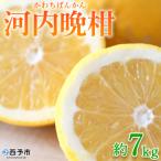 ふるさと納税 西予市 &