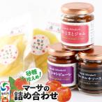 トマトジャム トマトピューレ サルサソース