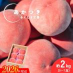 ふるさと納税 福島市  