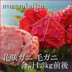 ふるさと納税 根室市 【年内配送可