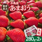 農家直送 糸島産 完熟あまおう 280g×2パック