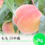 ふるさと納税 大石田町 もも 桃 川中島 約2kg 2025年産 令和7年産 8月中旬~発送 フルーツ ja-moknx2