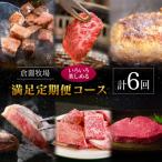 ふるさと納税 宮崎県 【定期便】宮崎県 倉薗牧場 ヒレステーキなど色々楽しめる満足定期便コース 計6回