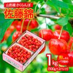 ふるさと納税 山形市 山形市産さくらんぼ 佐藤錦 L以上 1kg(500g×2)バラ詰め 【令和7年産】FS24-622