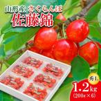 ふるさと納税 山形市 さくらんぼ 佐藤錦 L(200g×6) 【令和7年産】FU21-818