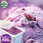 fu.... налог рисовое поле . блок [ Сикоку один маленький ... лёд магазин san ]{ сосна мыс холодный .} большая вместимость лёд 4000ml * голубика *