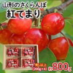 ふるさと納税 山形市 山形のさくらんぼ 紅てまり 約800g Lサイズ以上(200g×4) 【令和7年産】FS24-557