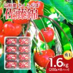 ふるさと納税 山形市 山形産 さくらんぼ 佐藤錦 L 1.6kg(200g×8パック) 【令和7年産】FS24-504