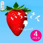ふるさと納税 神埼市 【2026年1月上旬より発送開始】いちごさん4パック(H116133)
