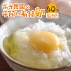 fu.... налог Sapporo город . свет сельское хозяйство .. flat .. иметь . яйцо 35 шт + трещина гарантия 5 шт _hs259-049