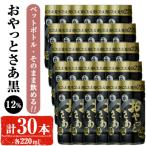 岩川醸造そのまま飲めるおやっとさあ 黒