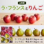 fu.... налог Yamagata город Yamagata la* Франция . яблоко. комплект превосходящий товар примерно 3kg [. мир 8 год производство ]FS22-131