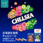 ふるさと納税 函館市 【期間限定・数量限定】北海道生食感チェルシーと北海道サイコロキャラメルのセット_HD207-001