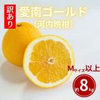 ふるさと納税 愛南町 �