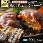 ふるさと納税 八千代町 【茨城県共通返礼品】【 お歳暮熨斗付き 】 常陸牛100% 煮込みハンバーグ [AU013yas]
