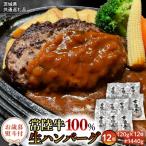 お 熨斗付き 黒毛和牛 常陸牛生ハンバーグ