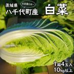 生産量日本一 白菜 1箱