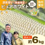 訳あり 深夜採り とうもろこし ピュアホワイト 約6kg