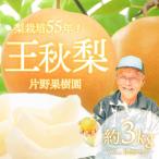 片野果樹園 王秋梨 約3kg