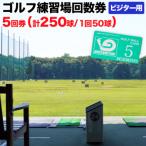 ゴルフ練習場回数券 5回券 250球 ビジター用