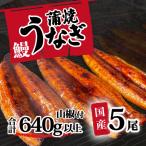ふるさと納税 八千代町 訳あり 国産うなぎ 蒲焼き 5尾 640g以上 大きさ不揃い 山椒付き うな重 ひつまぶし