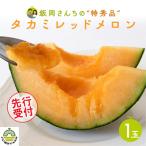 タカミレッドメロン 特秀品 1玉