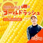先行受付 朝採り トウモロコシ ゴールドラッシュ 約6kg