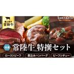 常陸牛セット ローストビーフ 煮込みハンバーグ