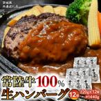 黒毛和牛 常陸牛100%生ハンバーグ 合計1440g