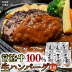 特製プレミアム 生ハンバーグ 120g×6個