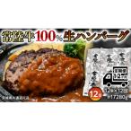 プレミアム 生ハンバーグ 120g×12個入