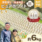 深夜採りとうもろこし ピュアホワイト 約6kg