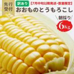 訳あり 朝採り とうもろこし おおもの6kg