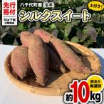 訳あり 無選別 さつまいも シルクスイート