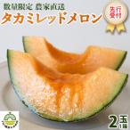 タカミレッドメロン 秀品 2玉入