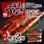 ふるさと納税 八千代町 国産 特上うなぎ 蒲焼き 2尾 <合計570g以上> タレ山椒付き 人気うなぎ登り