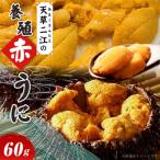 ふるさと納税 天草市 天草二江の養殖赤うに 60g_S157-007
